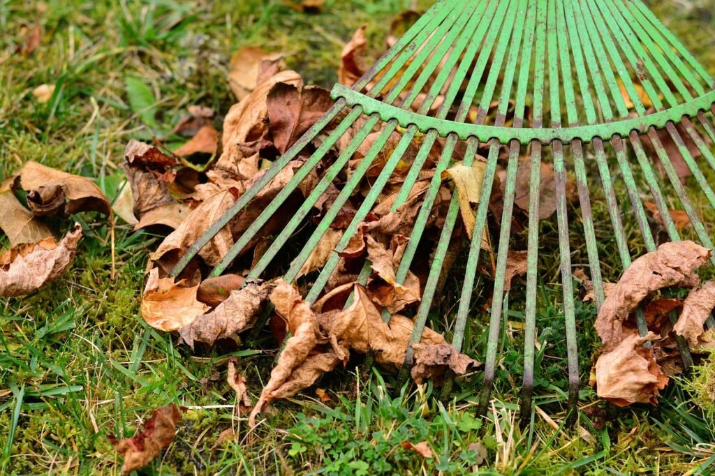 leaves, rake leaves, computing, fall, autumn leaves, garden, work, gardening, garden time, raking leaves, nature, autumnal, floor, grass
